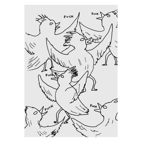Postkarte - Fuck Birds