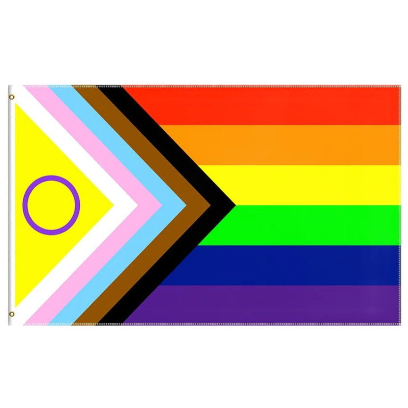 Pride Flags 90 x 150 cm