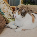 Katzenspielzeug mit Baldrian