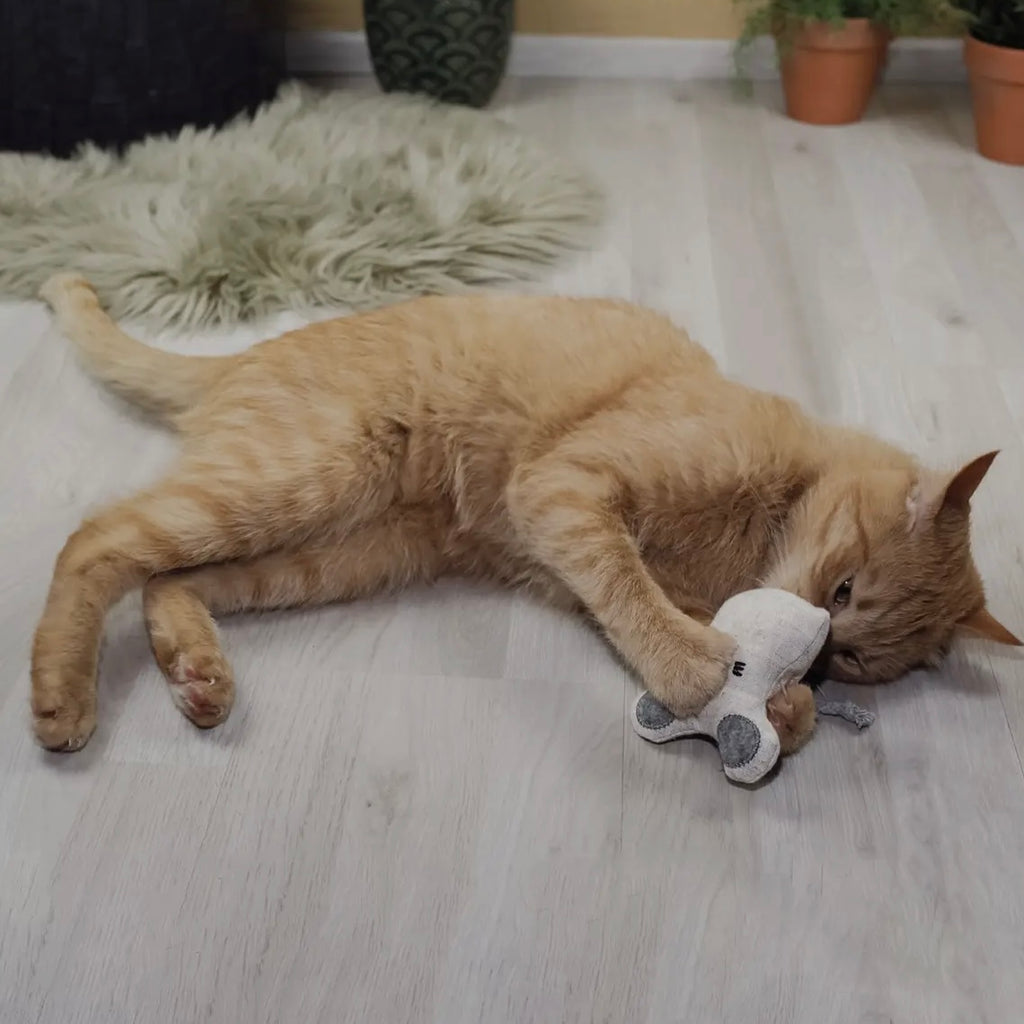 Katzenspielzeug mit Katzenminze