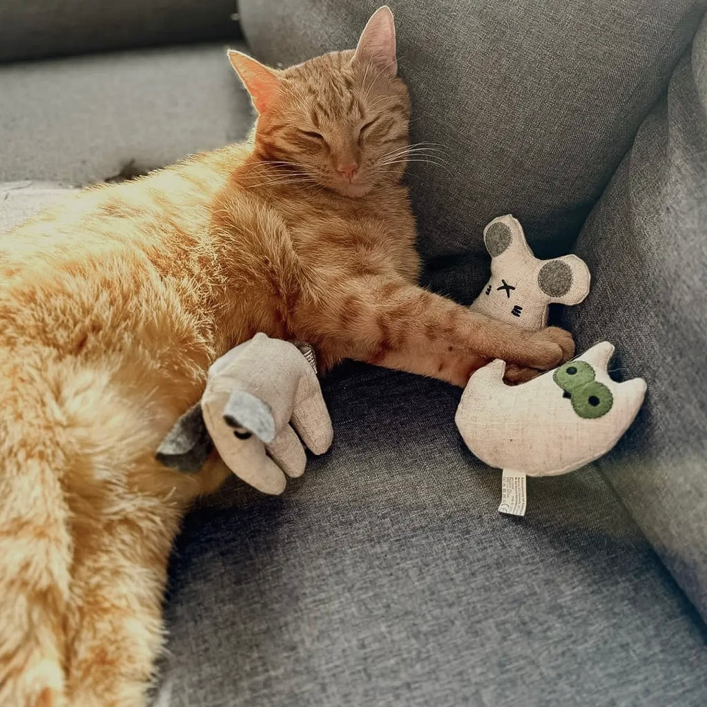 Katzenspielzeug mit Katzenminze