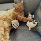 Katzenspielzeug mit Katzenminze