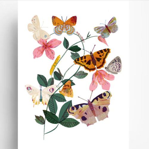 Postcard - Butterfly Mix