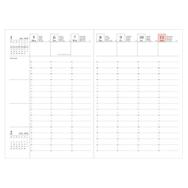 2025/2026 Planer - Cats [A5]