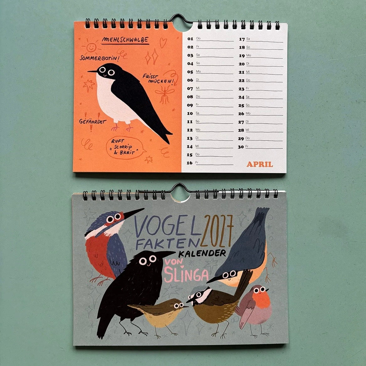 2027 Wandkalender - Vogel Fakten Kalender