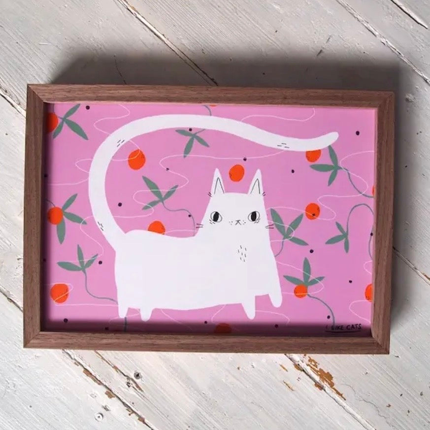 A4 Print - White Cat with Oranges