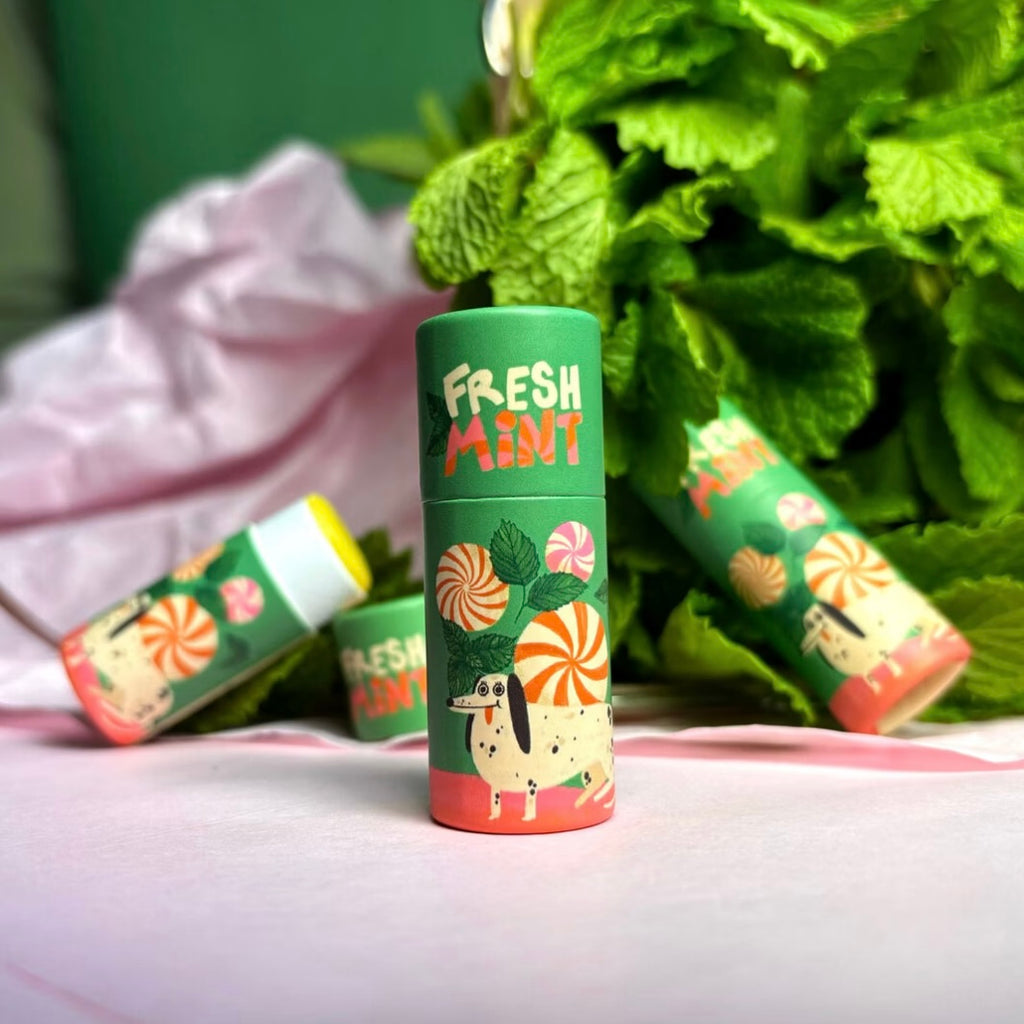 Lippenbalsam - Fresh Mint