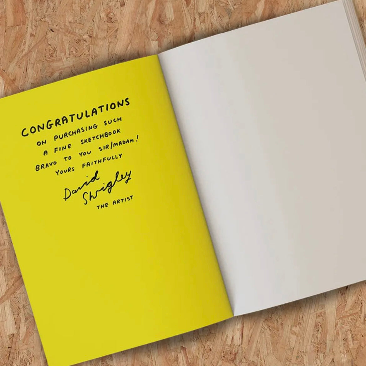 Sketchbook - Ass Drawing