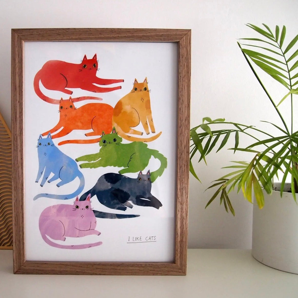 A4 Print - Rainbow Cats