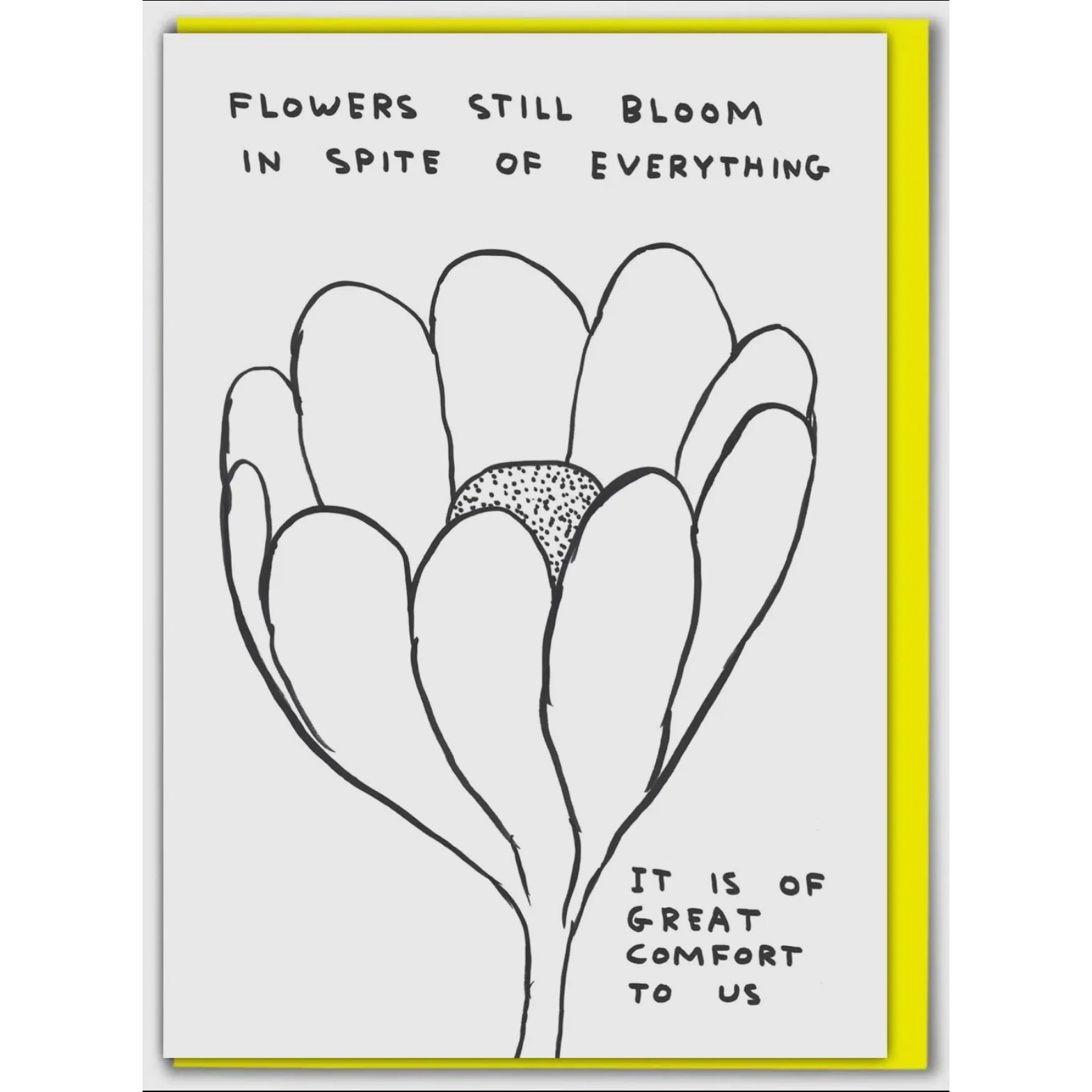 Grußkarte - Flowers Still Bloom