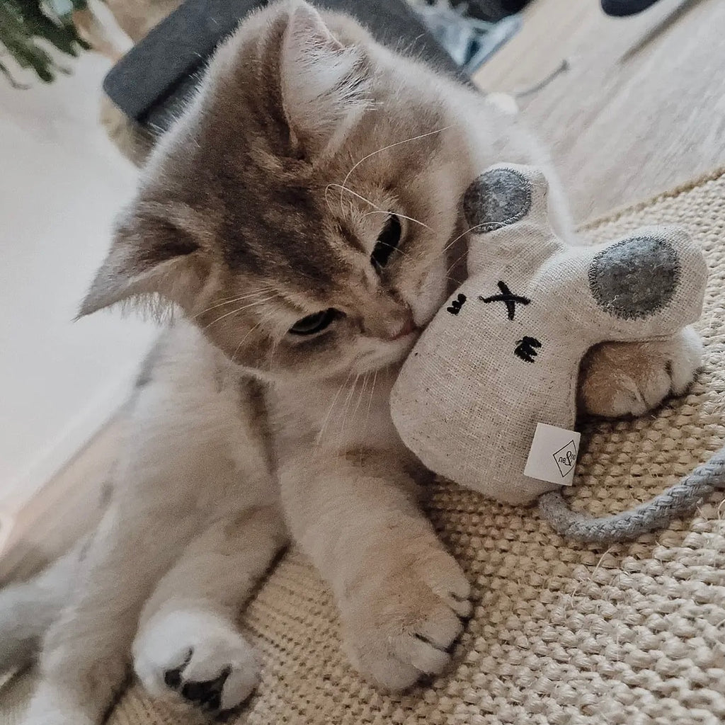 Katzenspielzeug mit Katzenminze