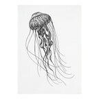 Postkarte - Tiefseequalle