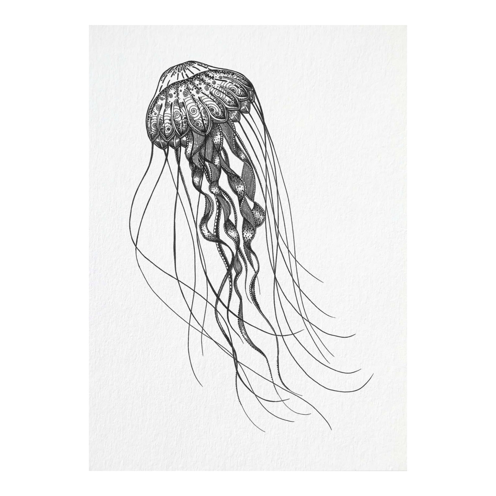 Postkarte - Tiefseequalle