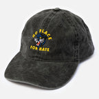 Baseball Cap - No Place For Hate