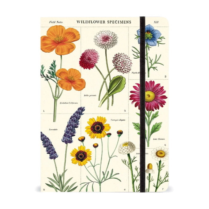 Wildflowers Notebook