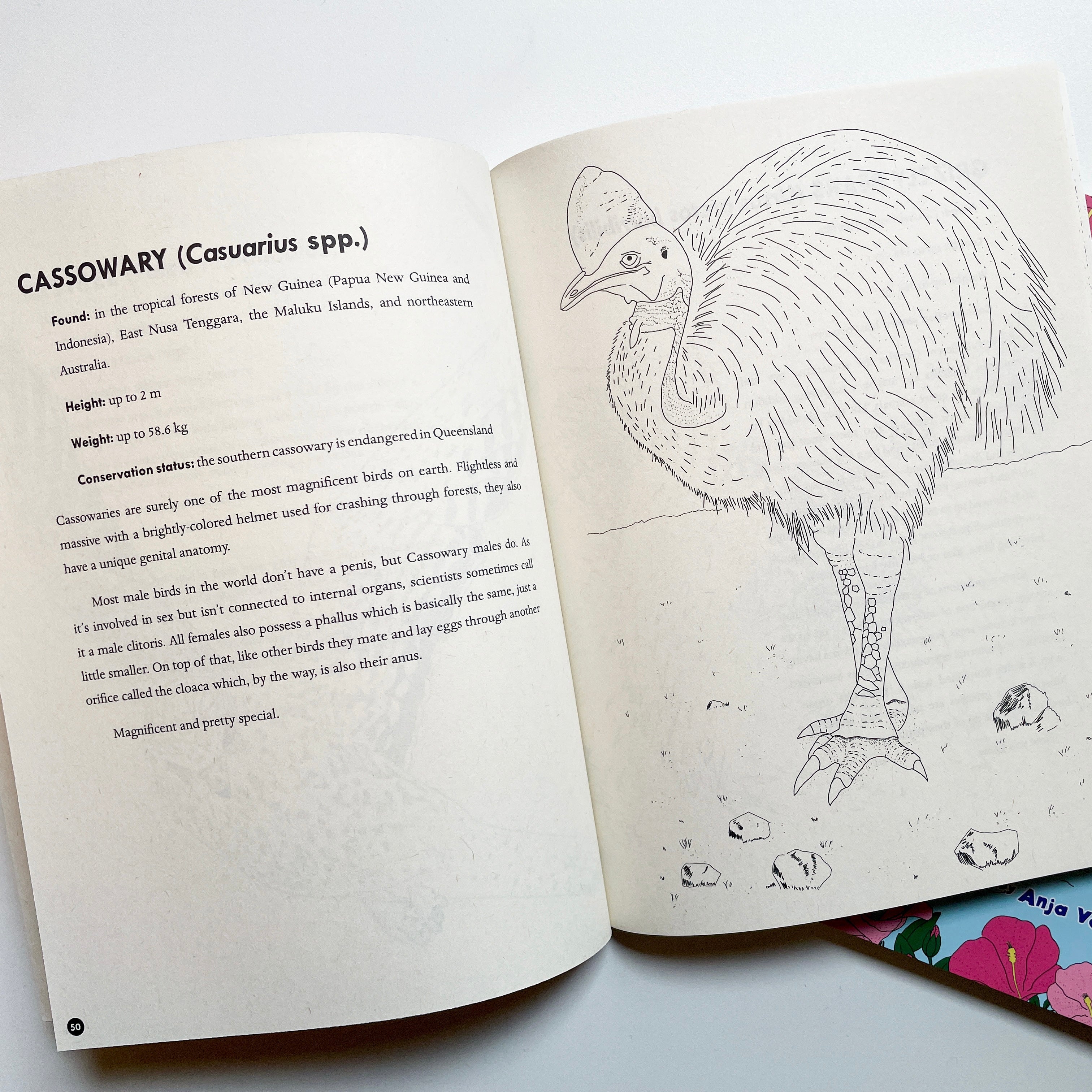 Ausmalbuch - Queer Animals & Plants