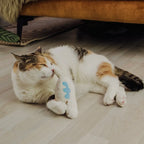 Katzenspielzeug mit Baldrian