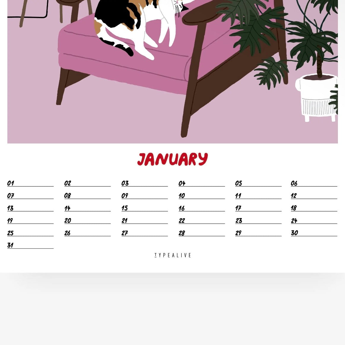 Wandkalender (undatiert) - Cats