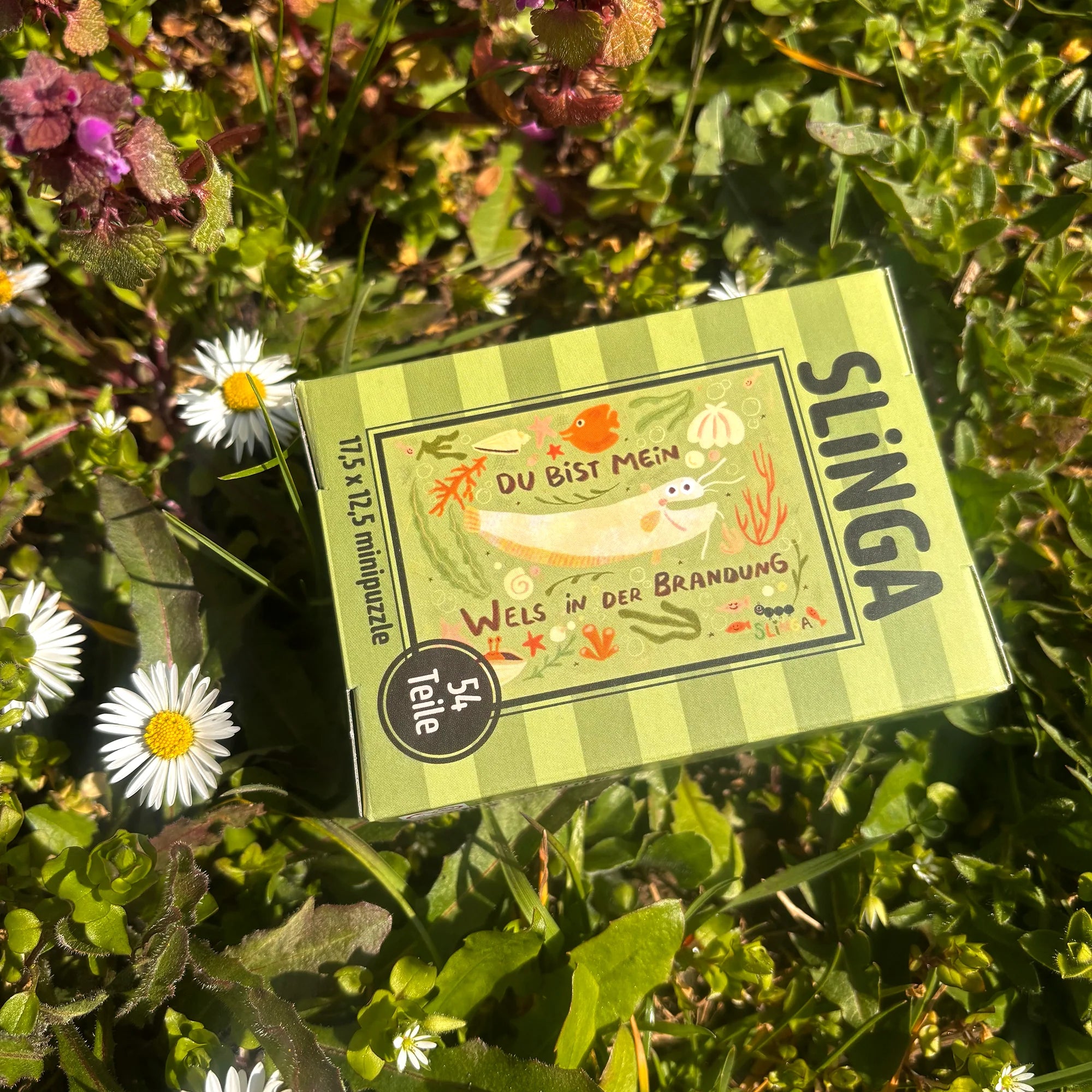 Mini Puzzle - Wels in der Brandung