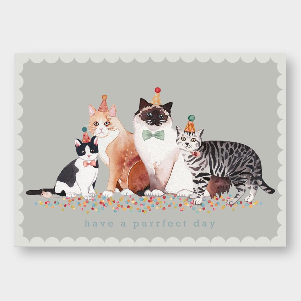 Postkarte - Have A Purrfect Day