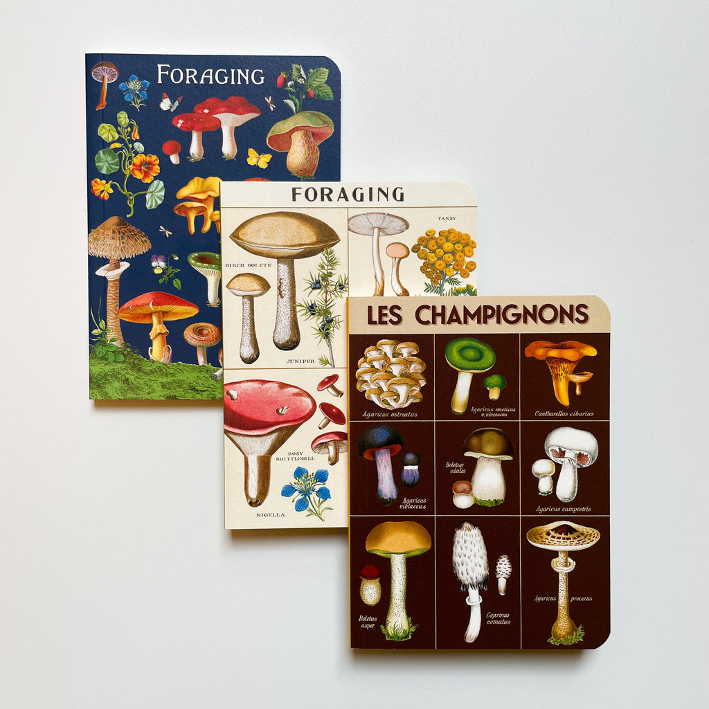 Mini Notizbuch - Foraging