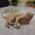 Katzenspielzeug mit Katzenminze