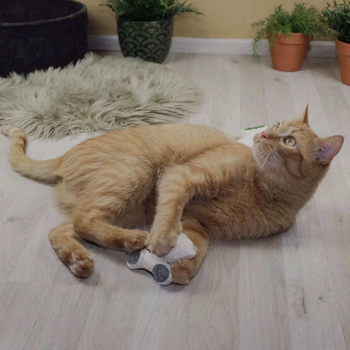 Katzenspielzeug mit Katzenminze