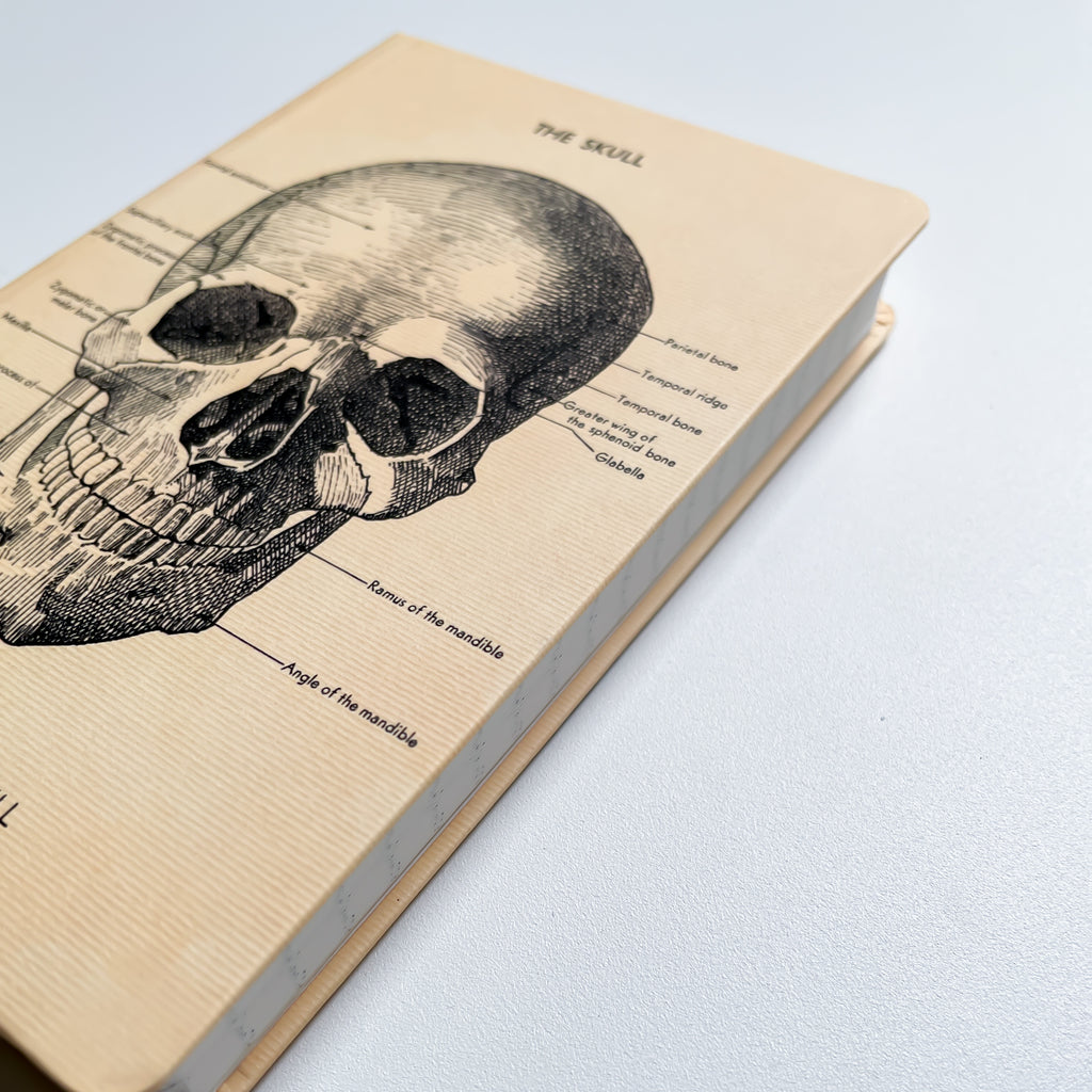 Notizbuch - Skull