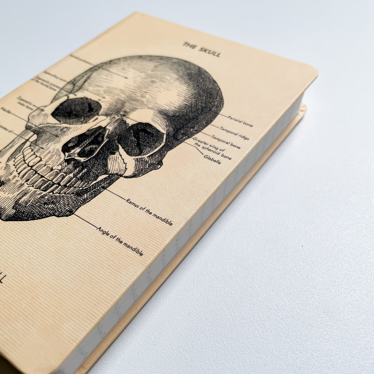 Notizbuch - Skull