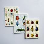 Mini Notizbuch - Bugs & Insects