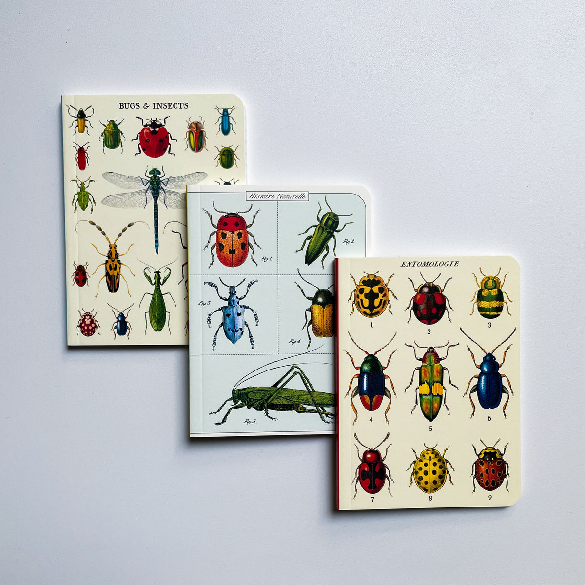 Mini Notizbuch - Bugs & Insects