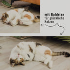 Katzenspielzeug mit Baldrian