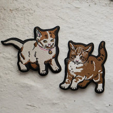 Patch Set - Kittens