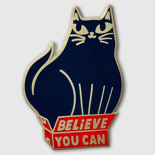 Pin - Believe You Can