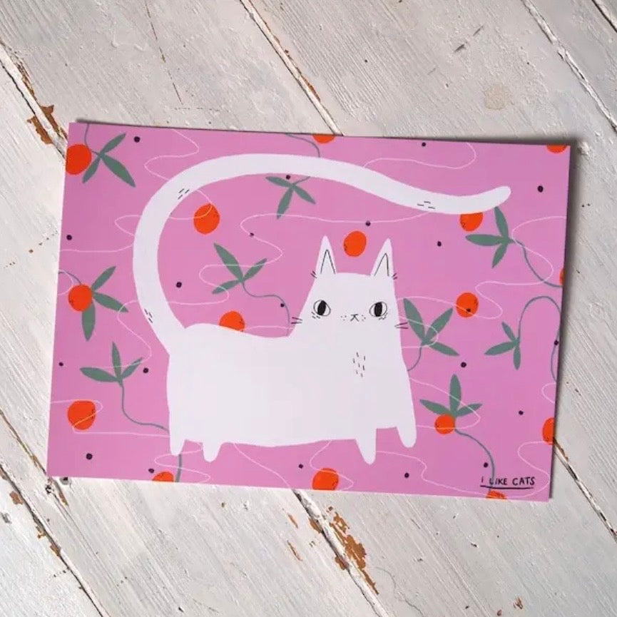 A4 Print - White Cat with Oranges