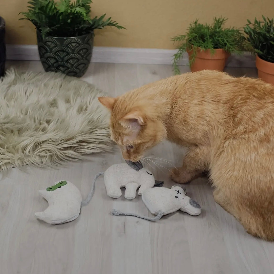 Katzenspielzeug mit Katzenminze