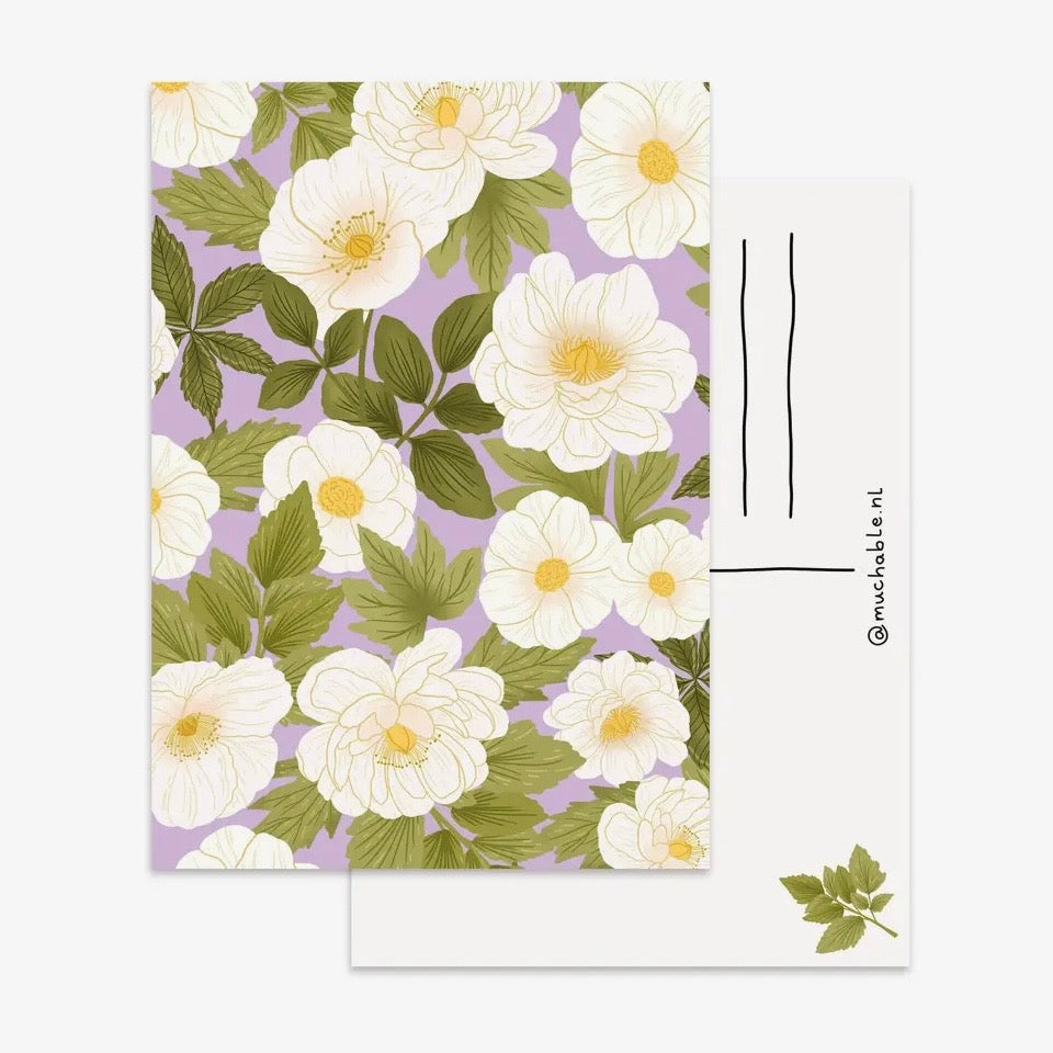 Postkarte - Weiße Blumen