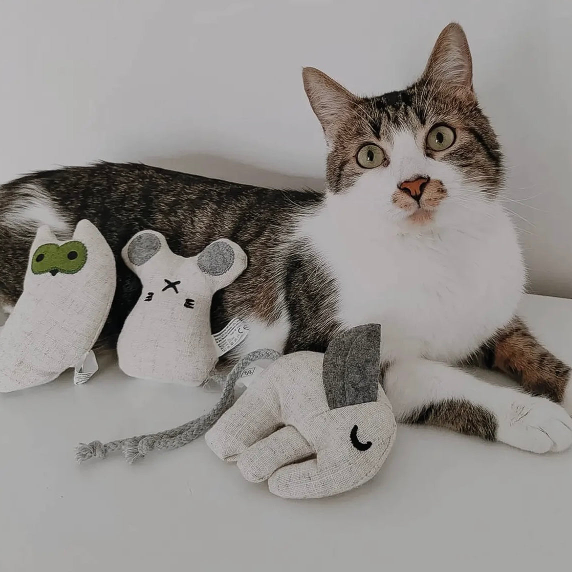 Katzenspielzeug mit Katzenminze