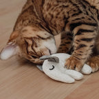 Katzenspielzeug mit Katzenminze