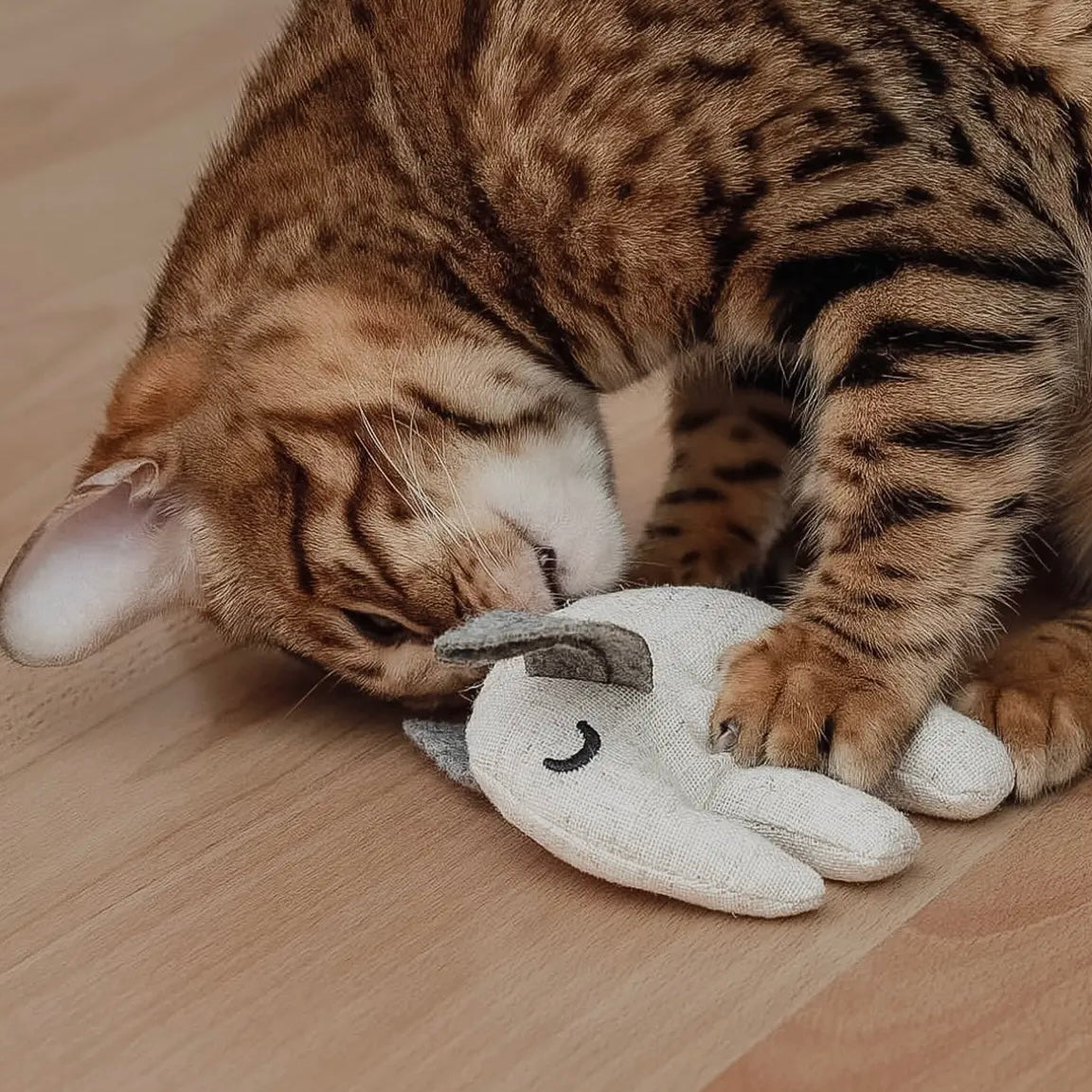 Katzenspielzeug mit Katzenminze