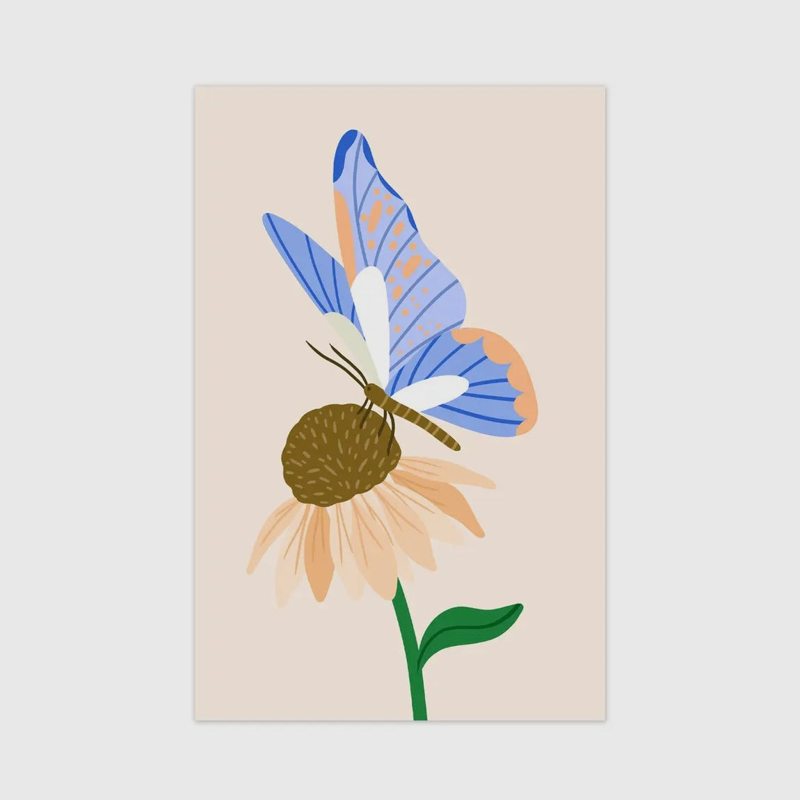 Minikarte - Schmetterling