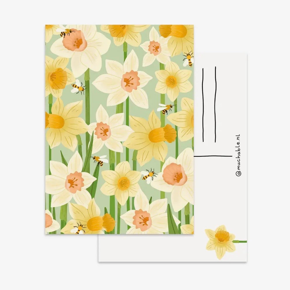 Postkarte - Narzissen
