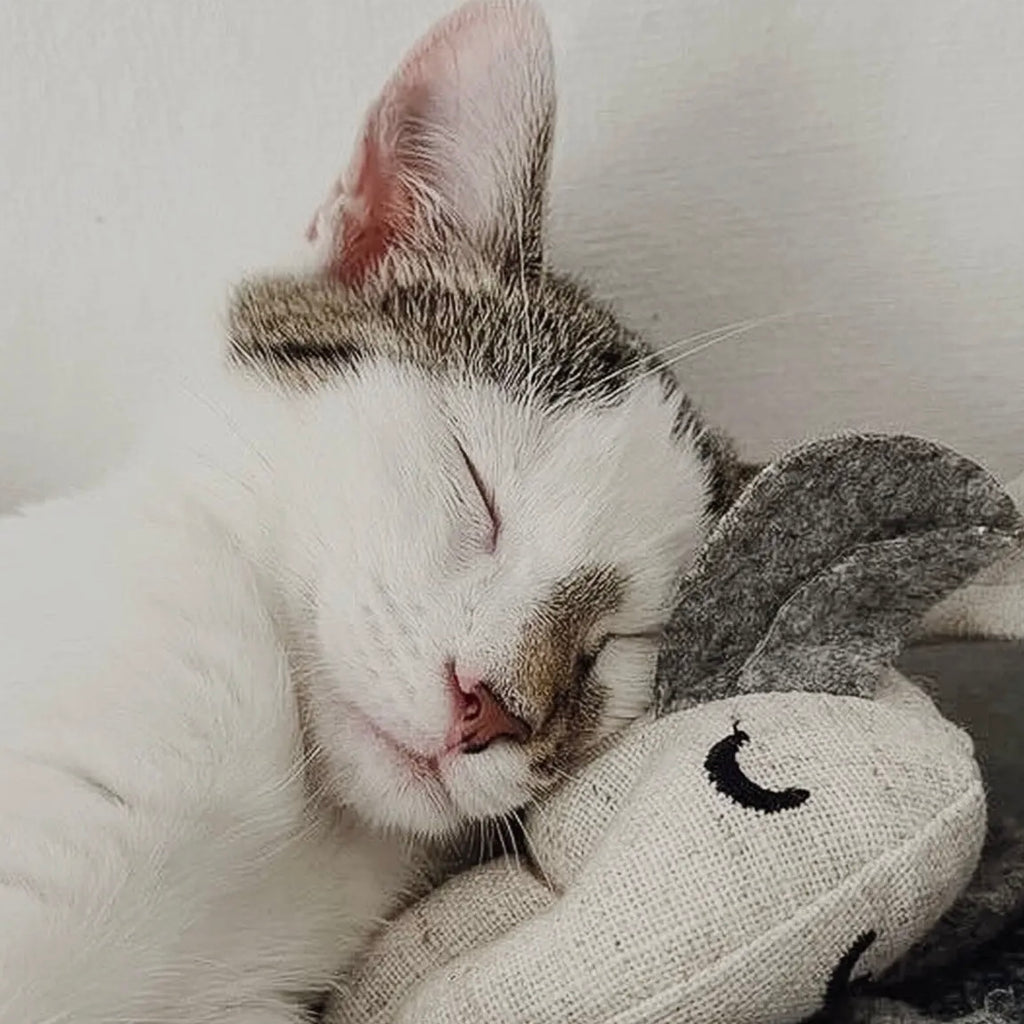 Katzenspielzeug mit Katzenminze