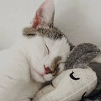 Katzenspielzeug mit Katzenminze