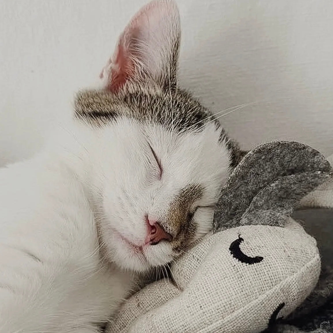 Katzenspielzeug mit Katzenminze