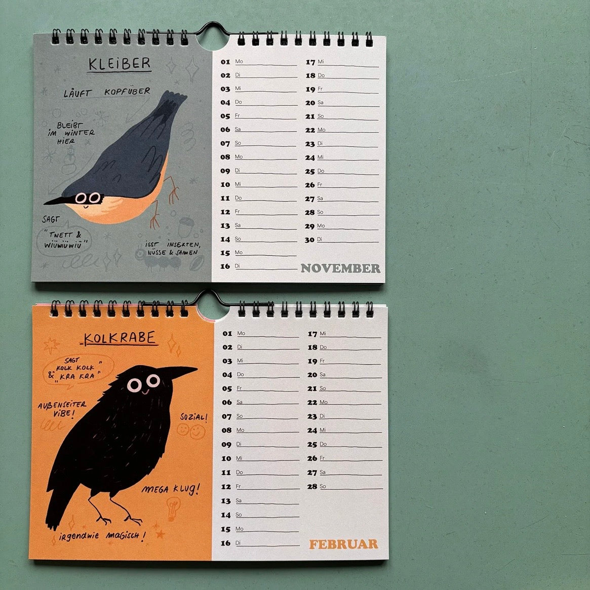 2027 Wandkalender - Vogel Fakten Kalender