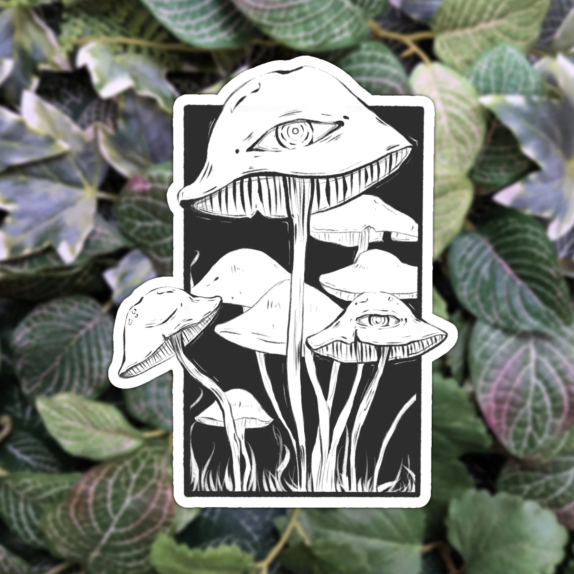 Sticker - Creepy Mushrooms