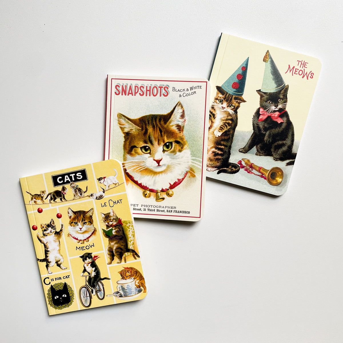 Mini Notizbuch - Cats