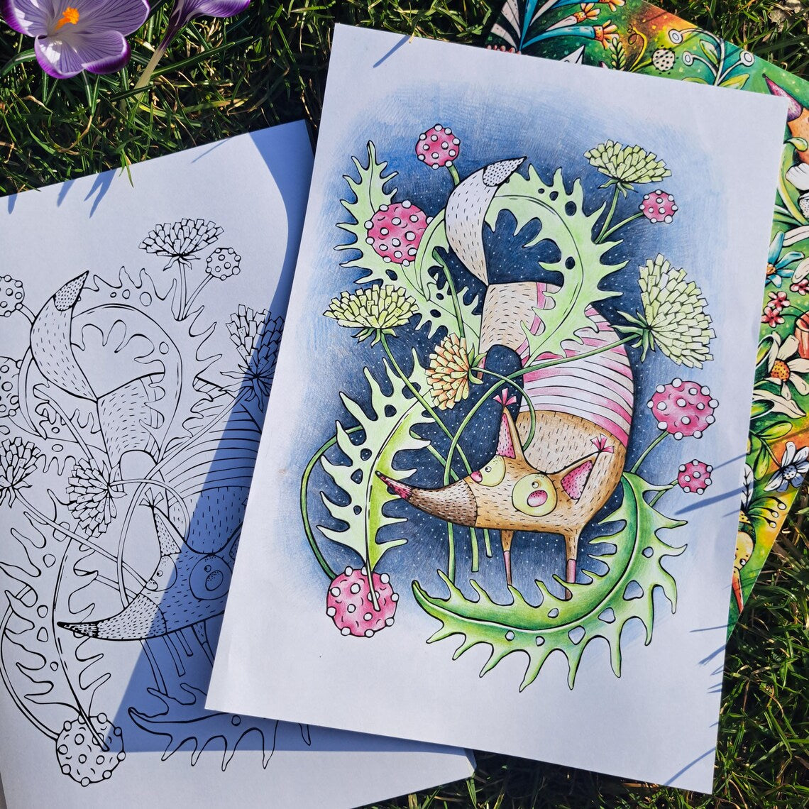 Ausmalbuch - Magisches Malbuch der Frühlingswesen