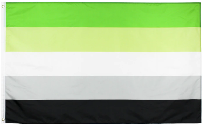 Pride Flags 90 x 150 cm